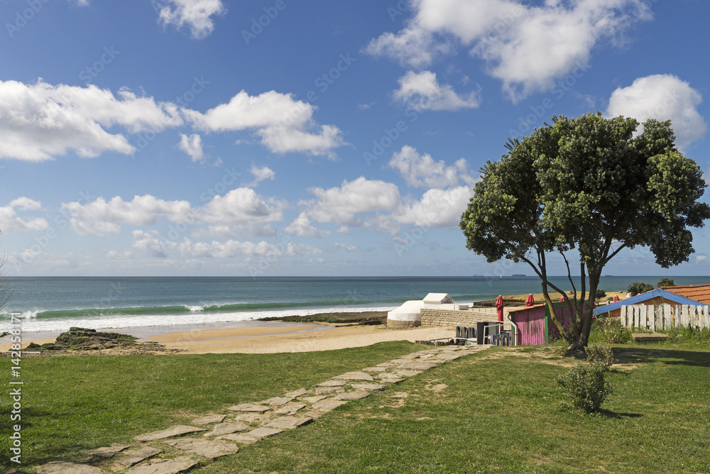 Fototapeta premium Mill beach