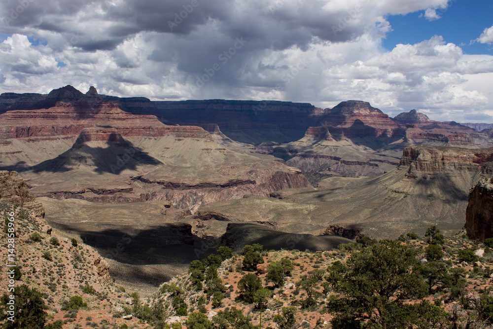 Obraz premium After the Rain