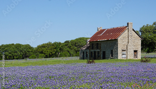 Old Church in Texas field of Bluebonnets