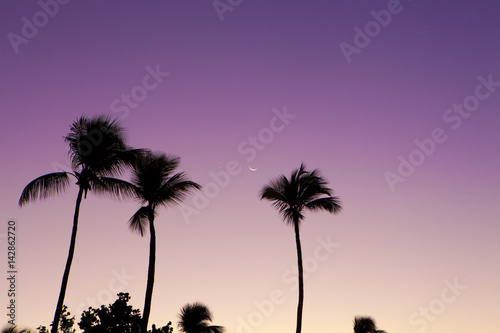 Sunrise in Caribbean © MISHELLA