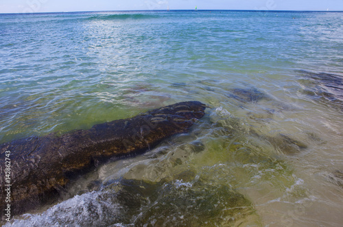 Caribbean  reef