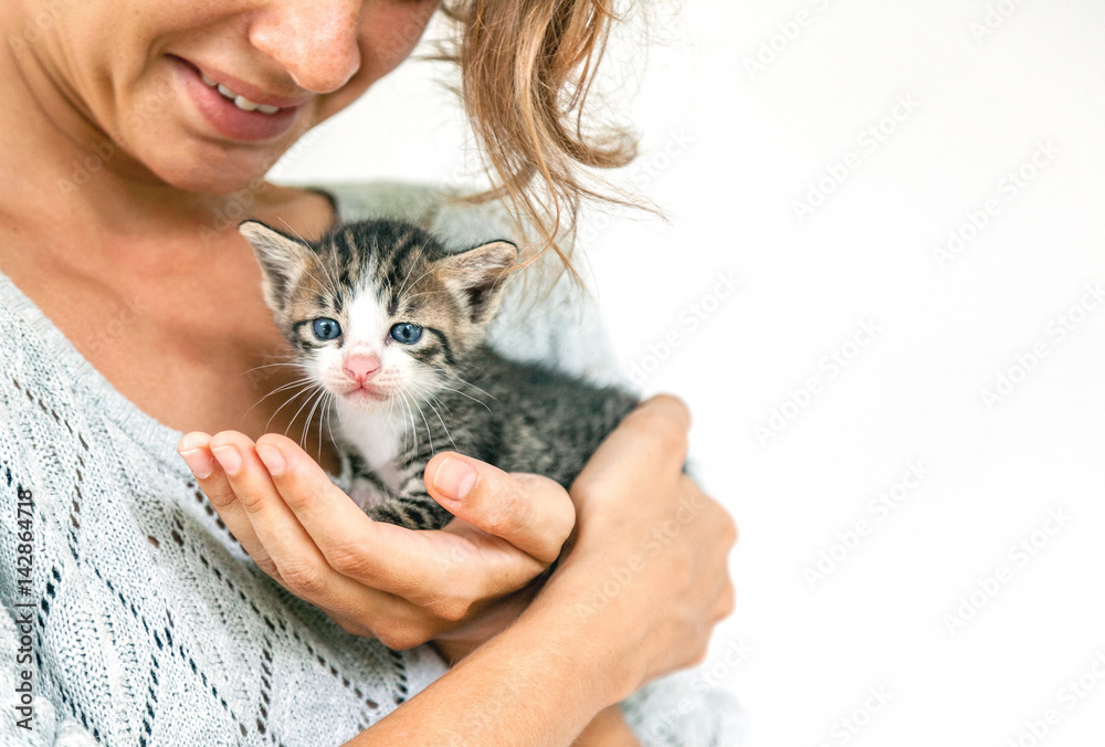 Beautiful cute gray striped kitten with blue eyes on the hands of a young woman. Love for pets