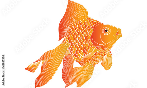 goldfish