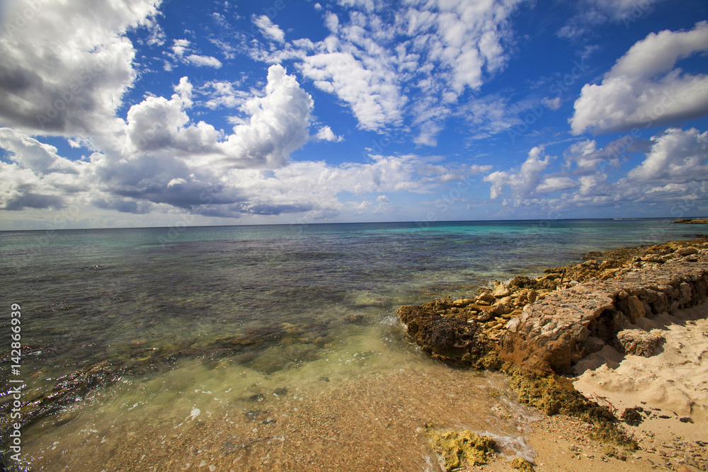 Caribbean  reef