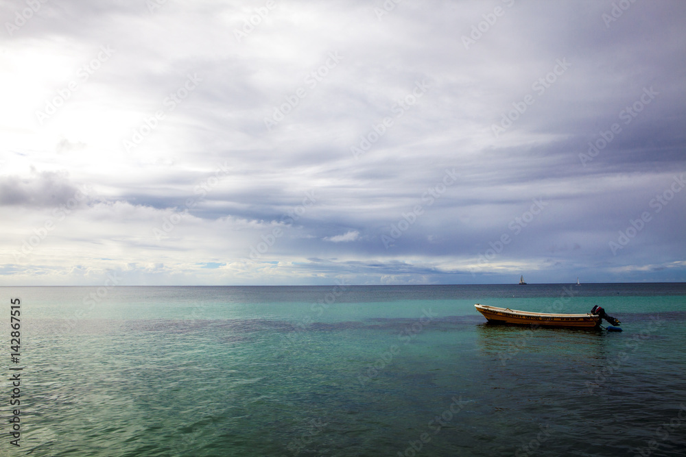 Rowing boat