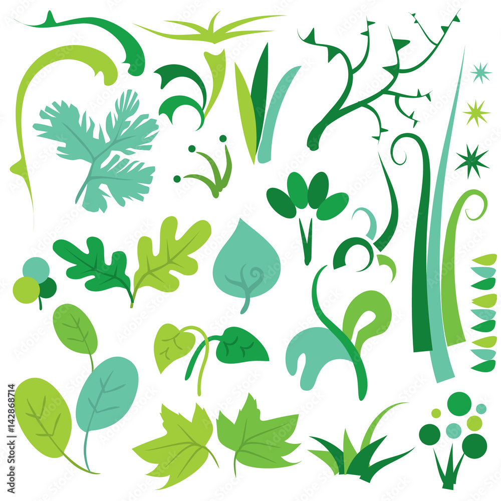 Minimalist Leaves & Plants