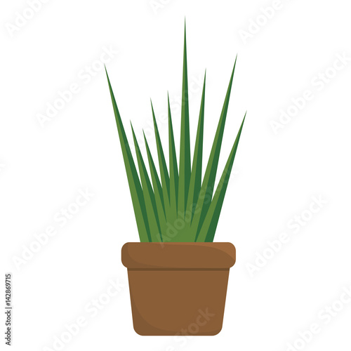 green plant in a pot icon over white background. colorful design. vector illustration