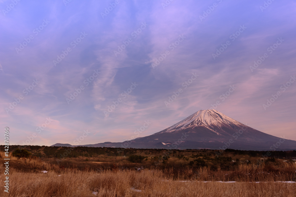 夕焼けに映えるススキと富士山 