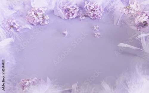 A soft, pastel background with a border of lilacs and feathers on a purple wood surface