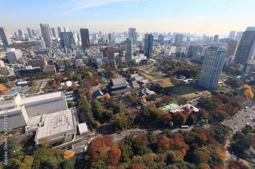 Naklejka premium 東京都港区俯瞰