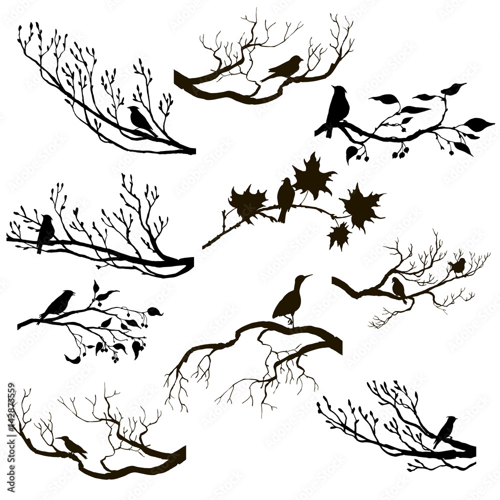 vector set of birds at tree branches silhouettes vector de Stock