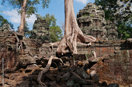 Ta Prohm Temple. Angkor. Cambodia photo