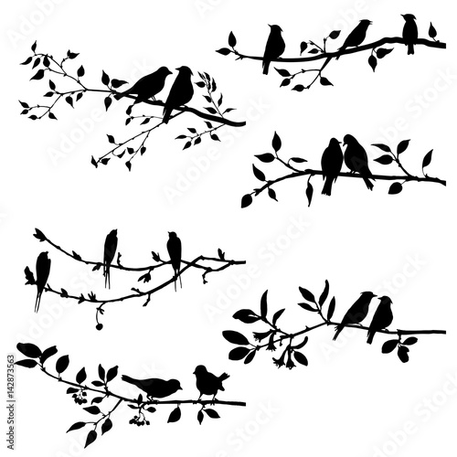 vector set of birds at tree branches silhouettes