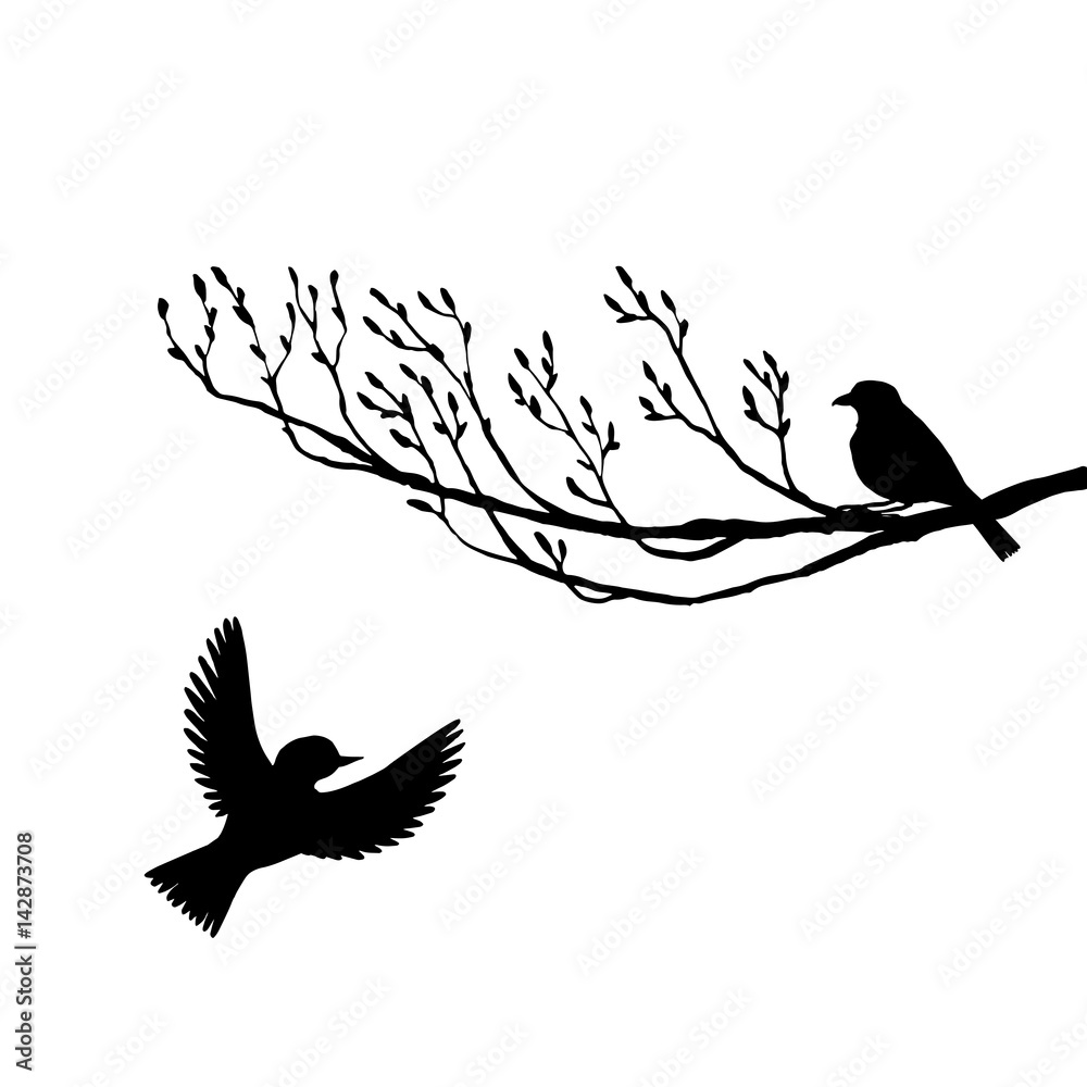 birds at tree silhouettes birds at tree silhouettes