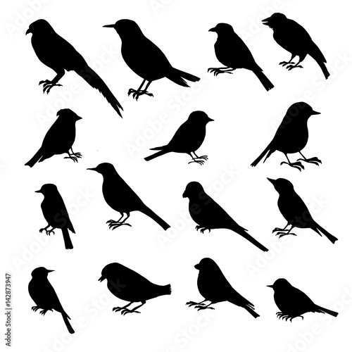 vector set of birds silhouettes
