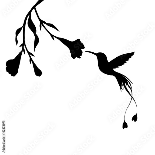 hummingbird and flower silhouettes