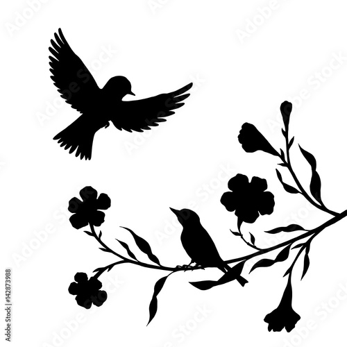 birds at tree silhouettes