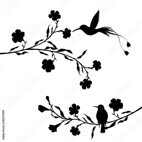 hummingbirds and flowers silhouettes © cat_arch_angel