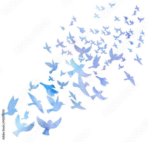 Canvas Print watercolor flying birds silhouettes