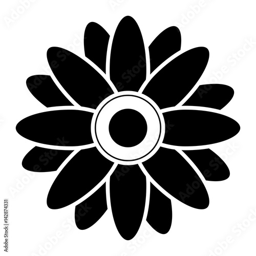 beautiful flower icon over white background. vector illustration