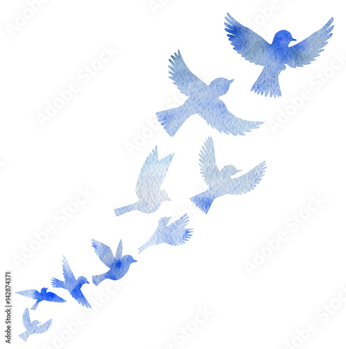 Photography watercolor flying birds silhouettes