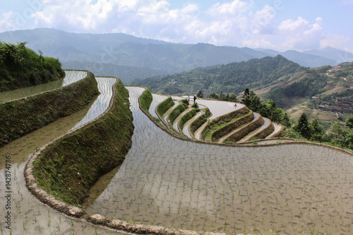 Longji Rice Terraces  Guangxi