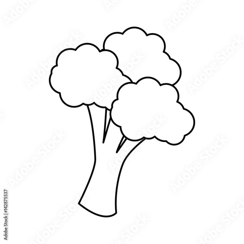 broccoli vegetable icon over white background. vector illustration