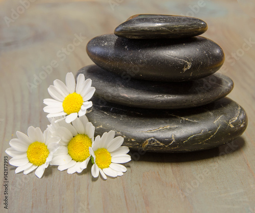 Spa image of black flat stones stacked with daisy flowers on a wood background