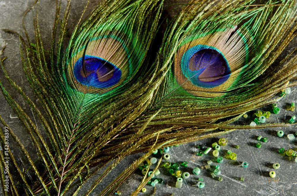 Fototapeta premium Beautiful peacock feathers and seed beads on black slate background