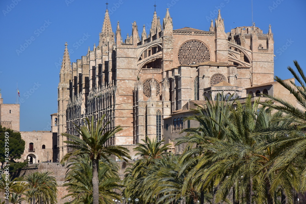 La Seu cathedral,Palma de Mallorca