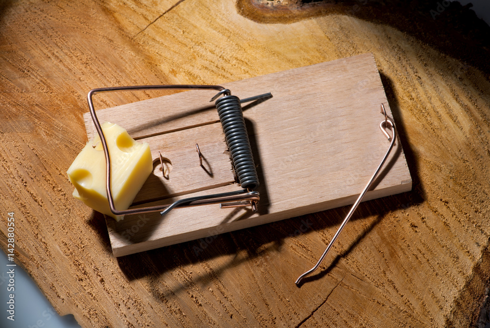 Mausefalle als Schlagfalle mit Käse als Lockmittel von Metallbügel  eingeklemmt – Stock-Foto | Adobe Stock
