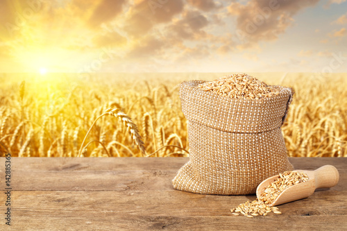 wheat grains on field background