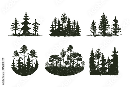 Tree outdoor travel black silhouette coniferous natural badge, tops pine spruce branch cedar and plant leaf abstract stem drawing vector illustration.