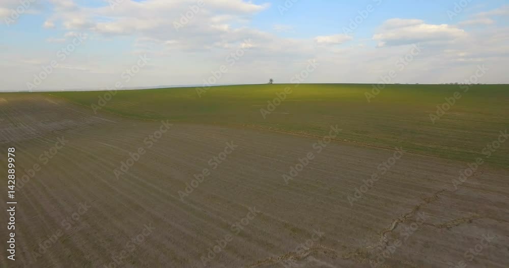 Aerial view, Lonely tree in the middle of the field, background Aerial view, Lonely tree in the middle of the field, background