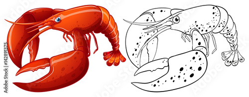 Animal outline for lobster