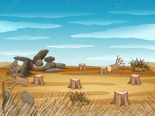 Field with stump trees