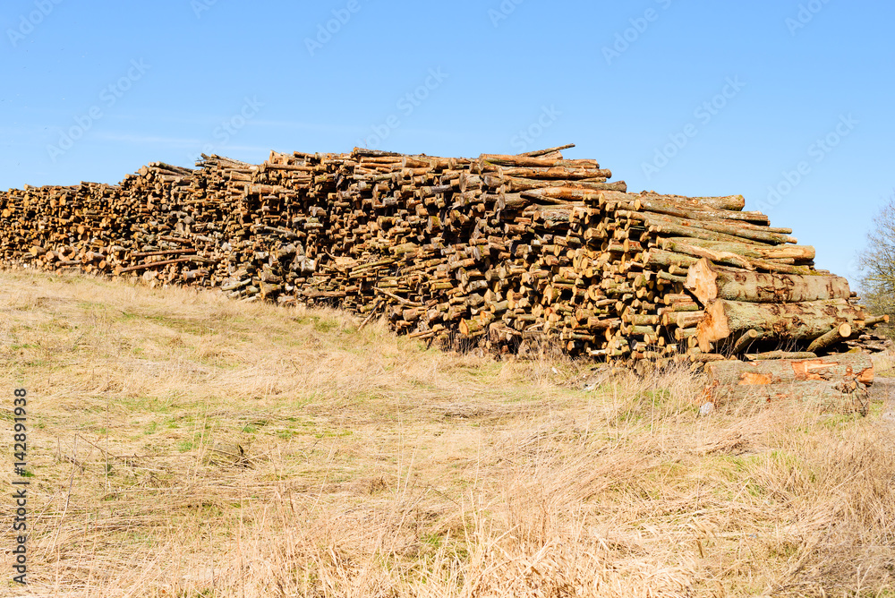 Stack of timber on a grass slope. This timber will most likely be used as biofuel.