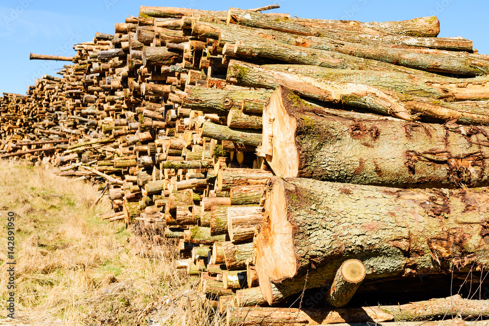 Stack of timber on a grass slope. This timber will most likely be used as biofuel.