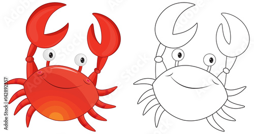 Animal outline for crab