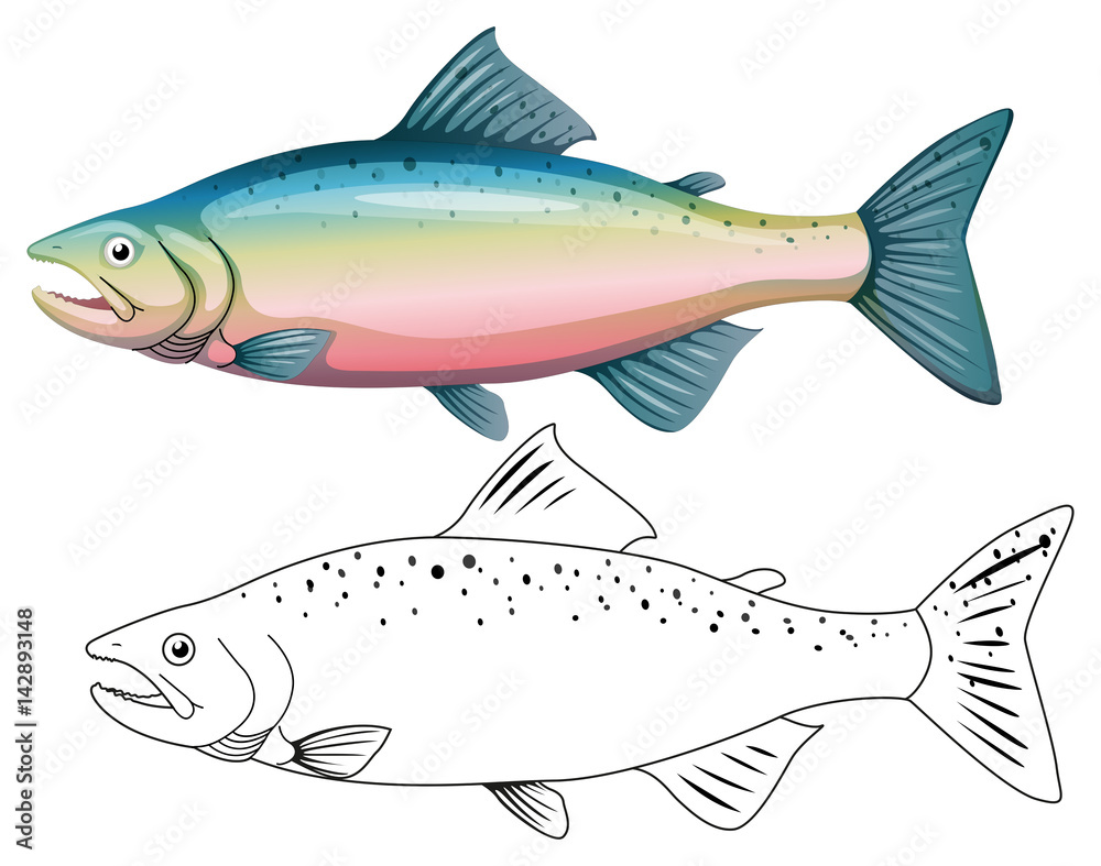 Animal outline for fish Animal outline for fish