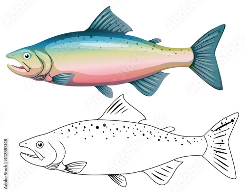 Animal outline for fish