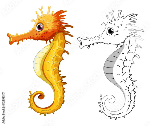 Animal outline for seahorse