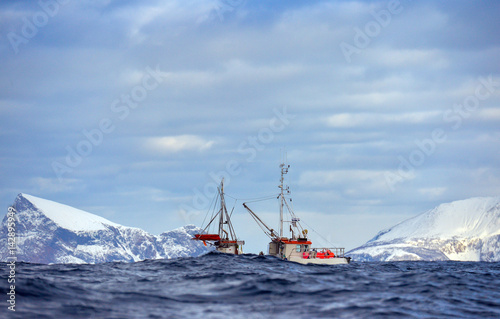 Fototapeta Alone fishing boat floating in the sea in Tromso, Norway