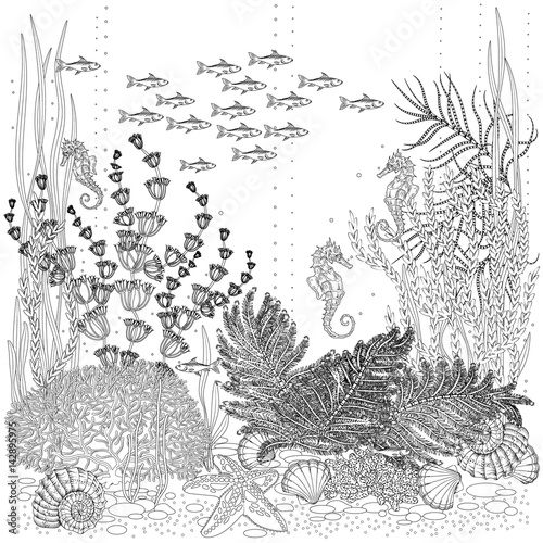the flora and fauna of the seabed