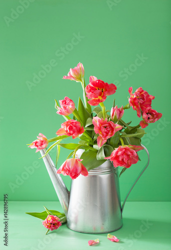 beautiful pink tulip flowers bouquet in watering can