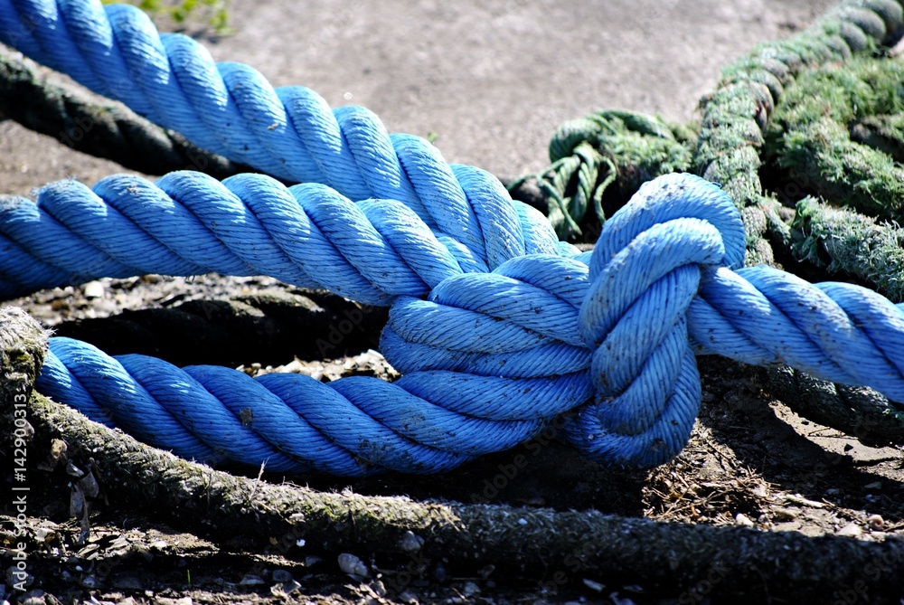 blue rope with a knot in the harbor