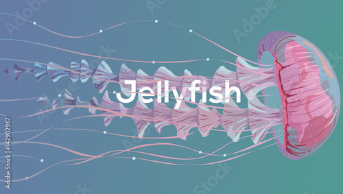 Background with detailed transparent jellyfish. Sea jelly on blue background. Useful for banners, broshures, covers. Vector illustration