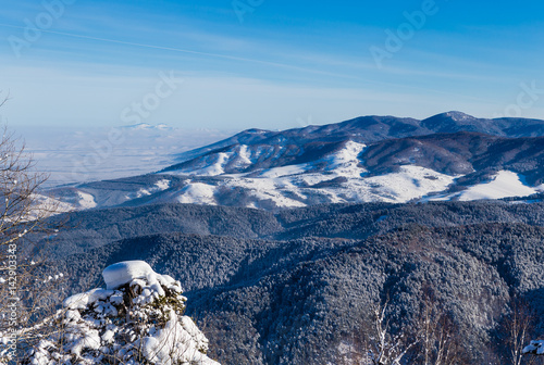 View from Tserkovka mountain   n the Altai Mountains in winter.  Resort Belokurikha  Altai  Russia