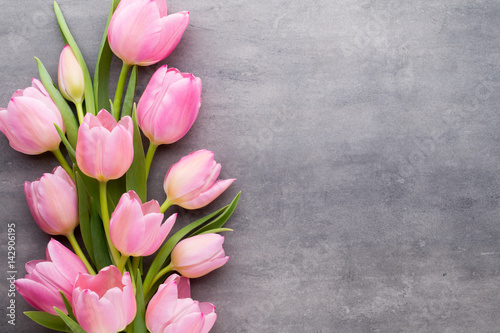 Tulips on a gray background. Spring greeting card.