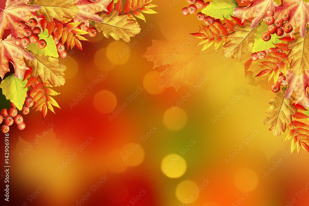 autumn landscape with bright colorful foliage. Indian summer.